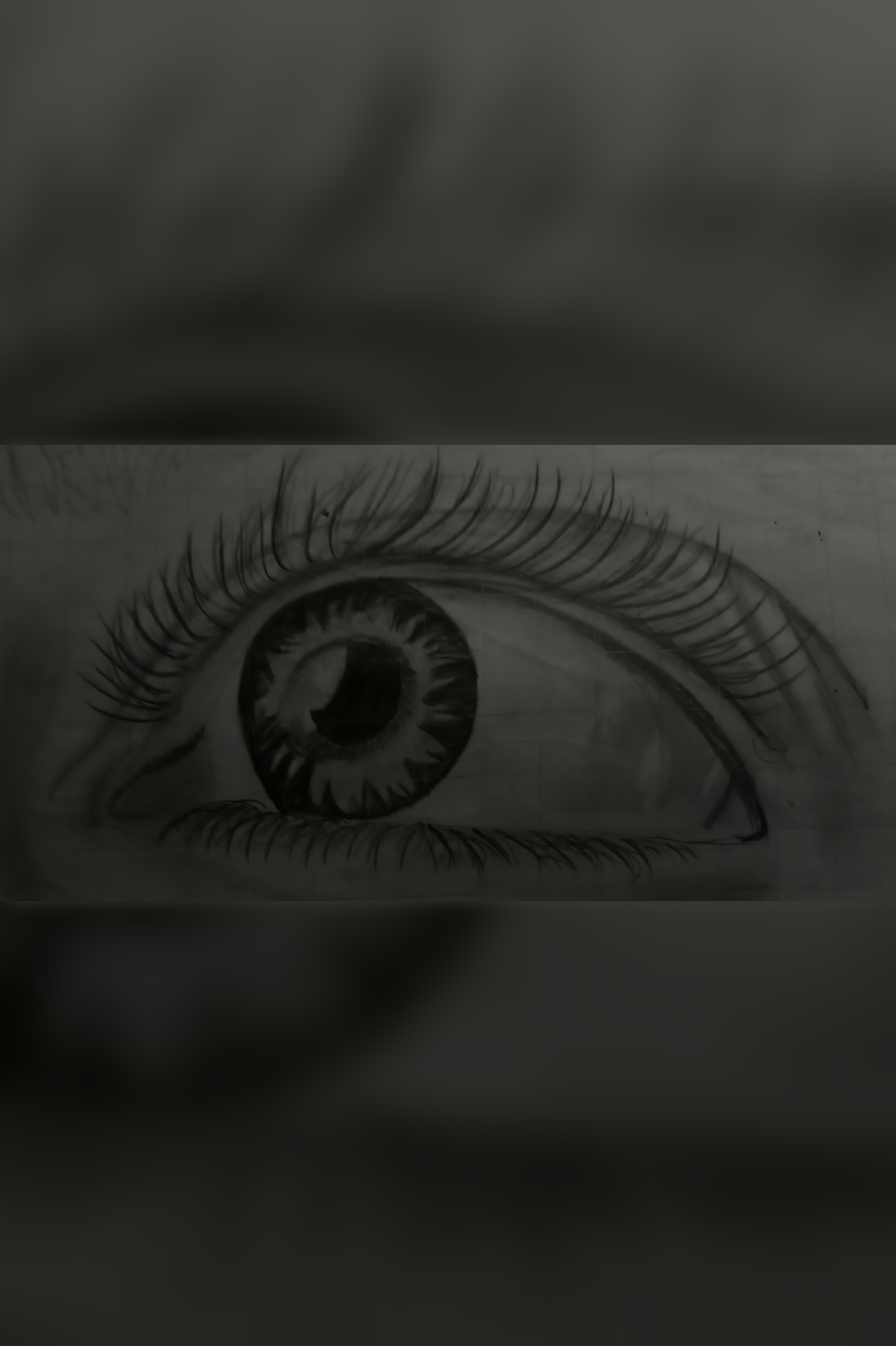 eye